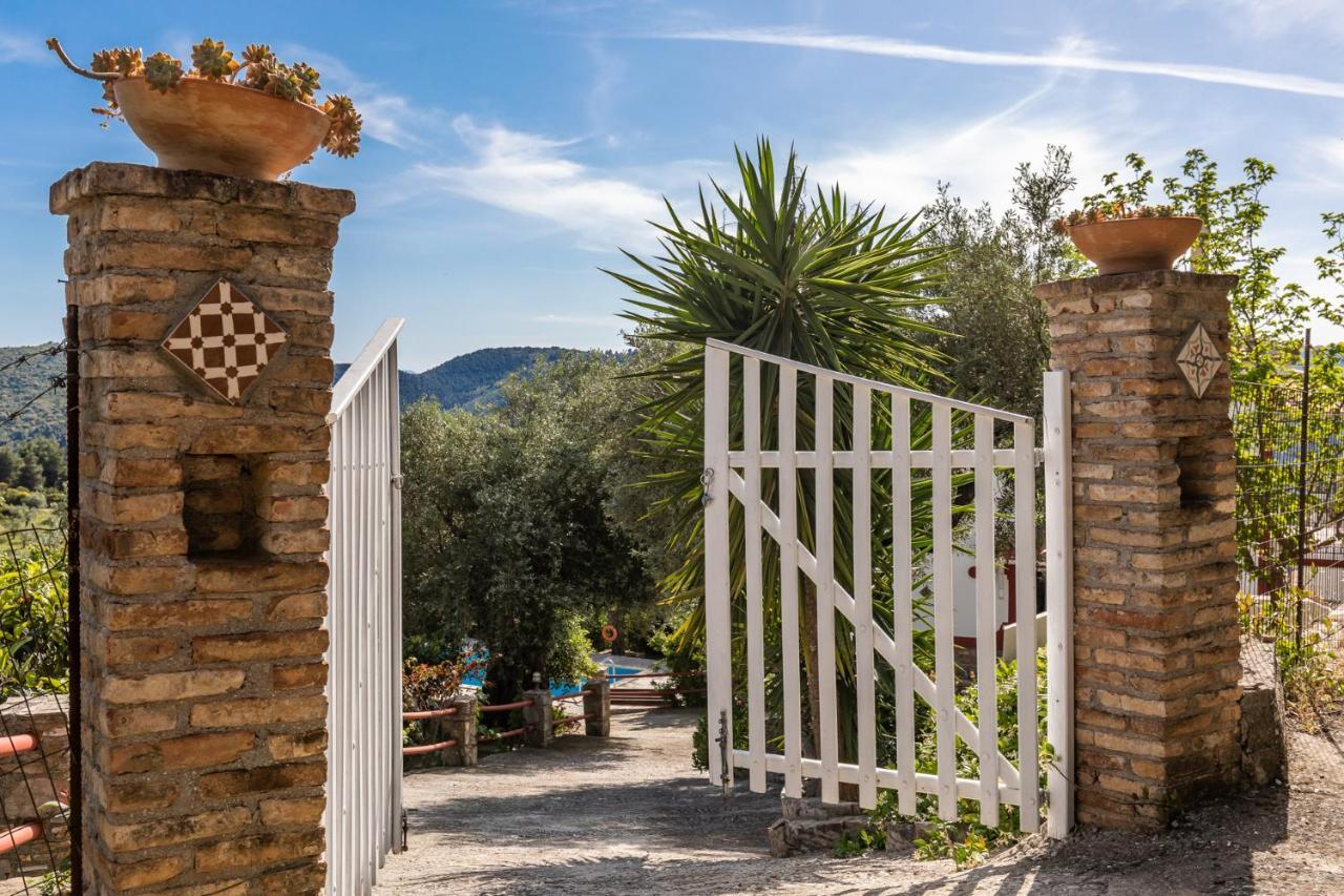 Villa Agia Marina 斯科派洛斯 外观 照片
