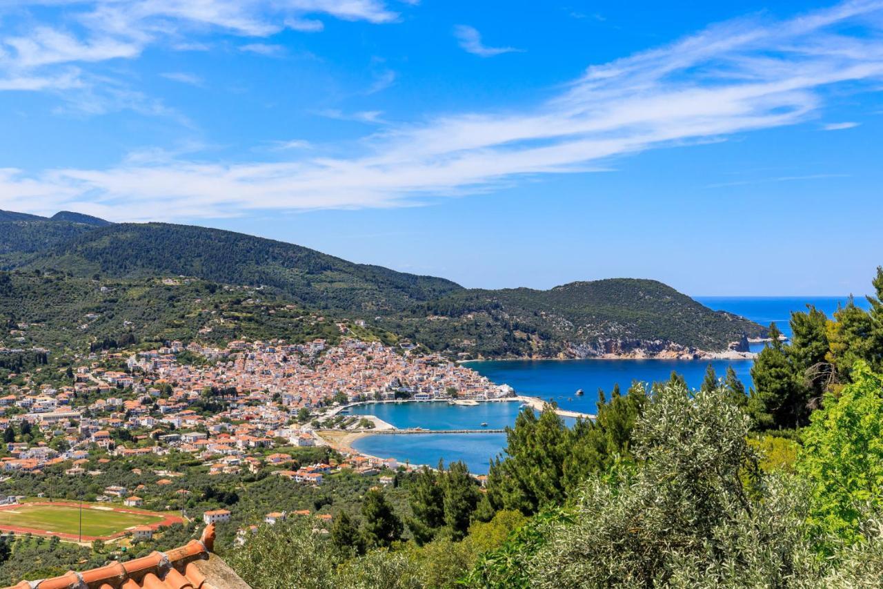 Villa Agia Marina 斯科派洛斯 外观 照片