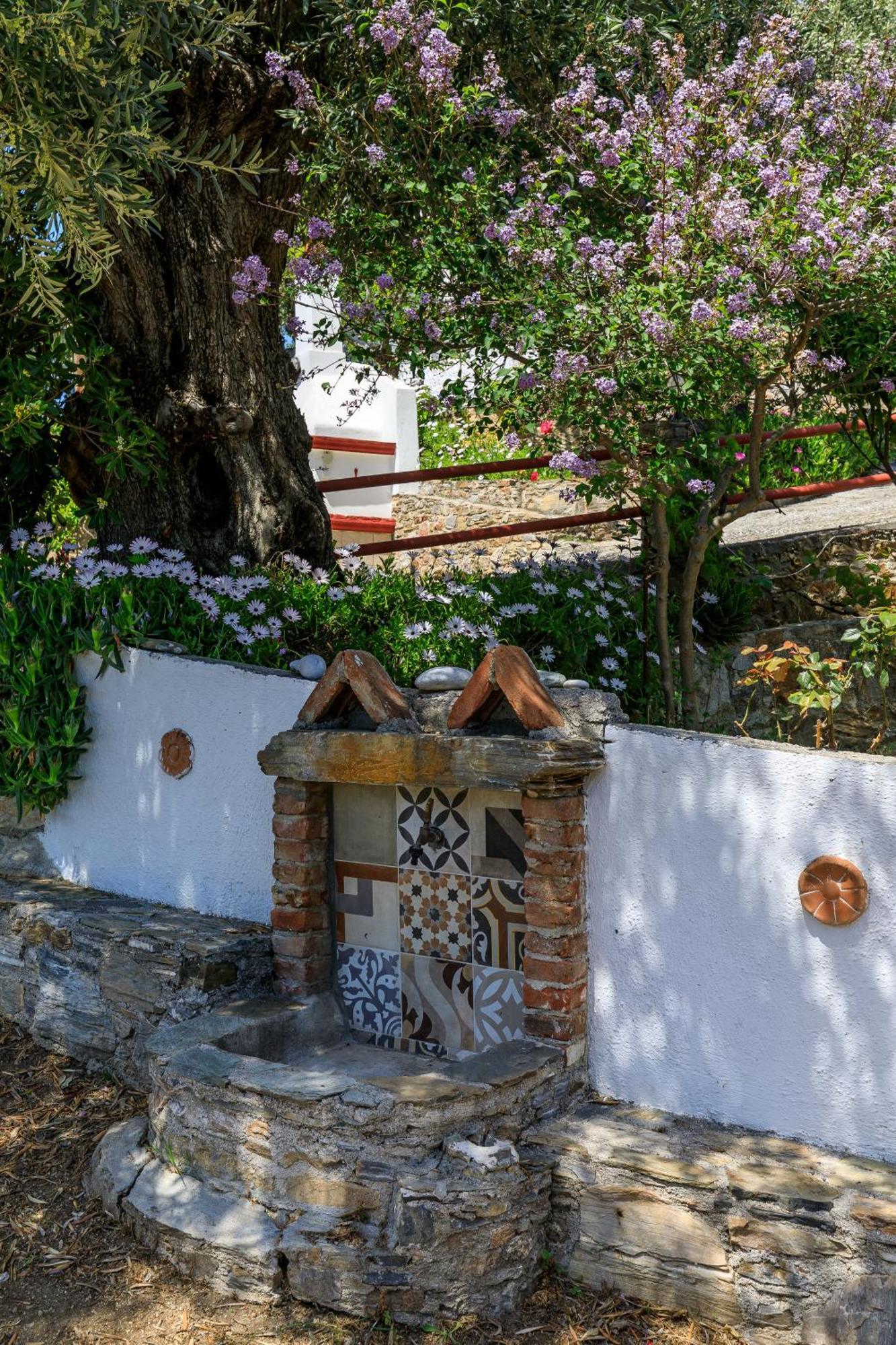 Villa Agia Marina 斯科派洛斯 外观 照片